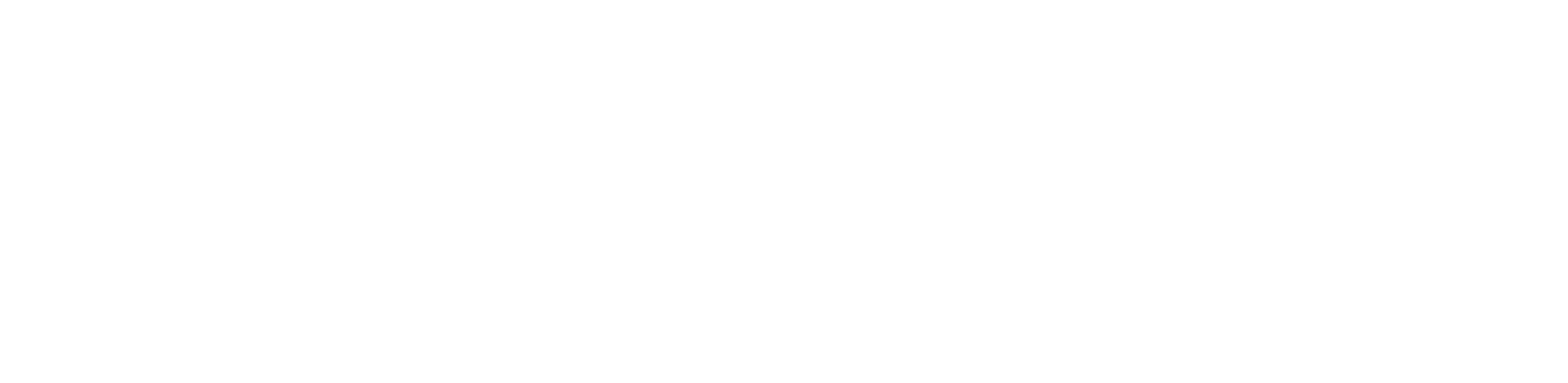 AISUM